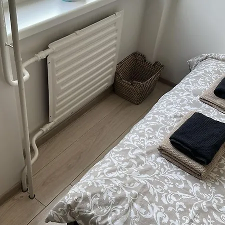 Little Cocoon At Border Of Old