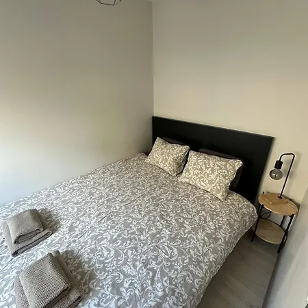 Little Cocoon At Border Of Old