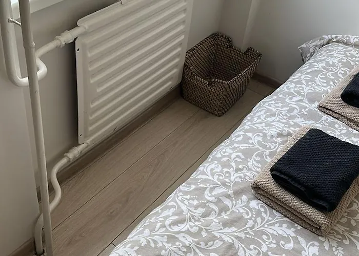 Little Cocoon At Border Of Old