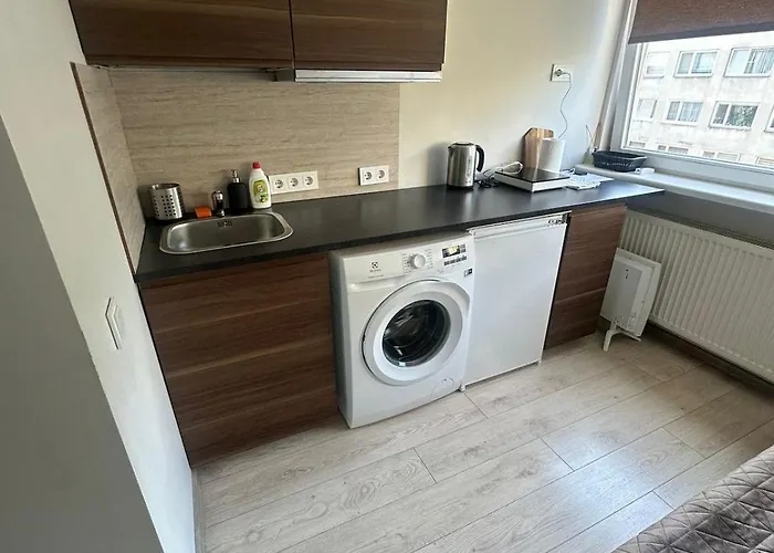 Little Cocoon At Border Of Old