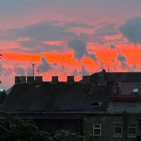 Little Cocoon At Border Of Old * Vilna