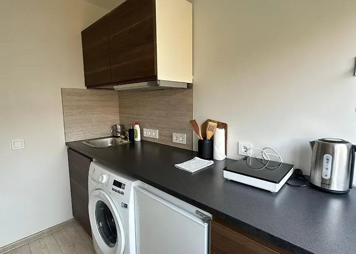 Little Cocoon At Border Of Old Vilna