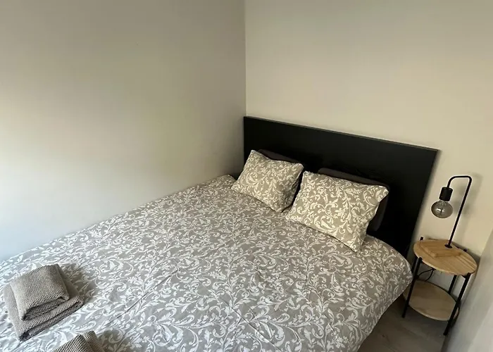 Little Cocoon At Border Of Old